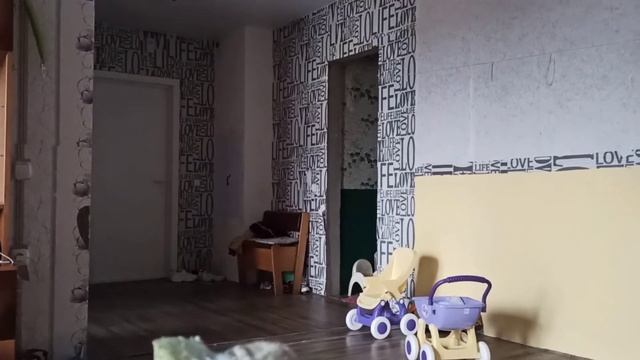 Минские улочки,закрытый секонд,нашли другой,будни мамы без папы.🇧🇾🍂 смотреть онлайн