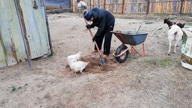 Трудовые будни (таймлапс). Корень и вода смотреть онлайн