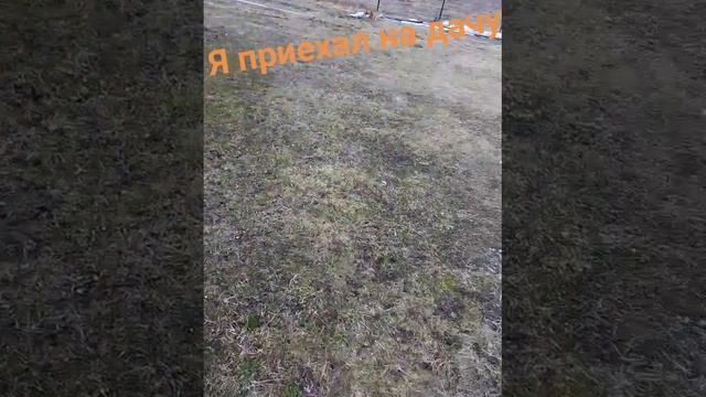 Я на даче смотреть онлайн