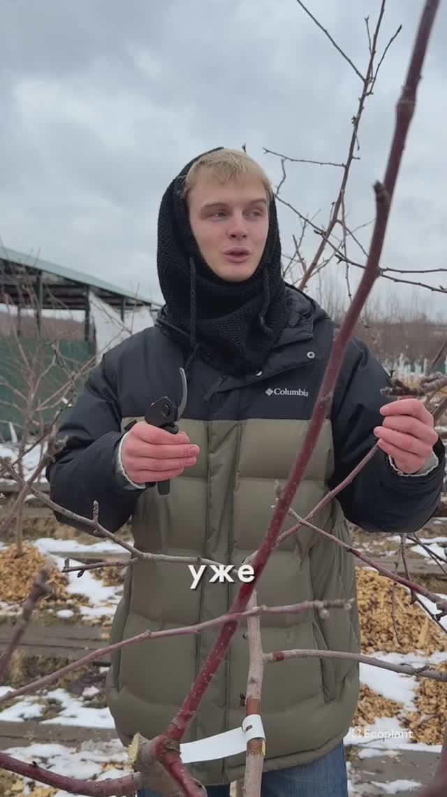 Просто Обрежьте Так! смотреть онлайн