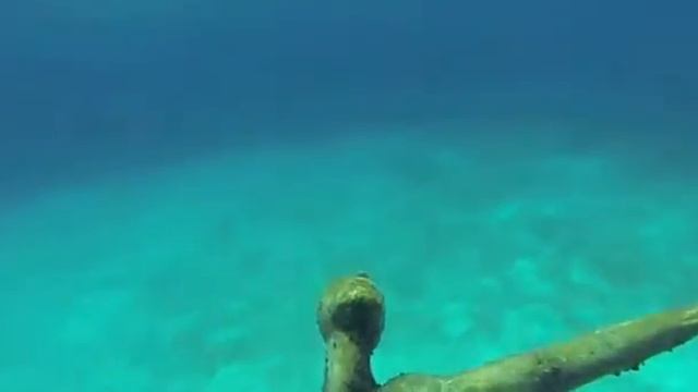Hotel Barracuda смотреть онлайн