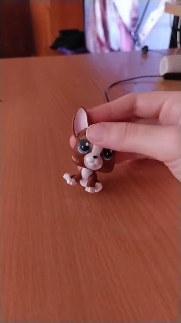 Канал "Карусель" не плохой смотреть онлайн