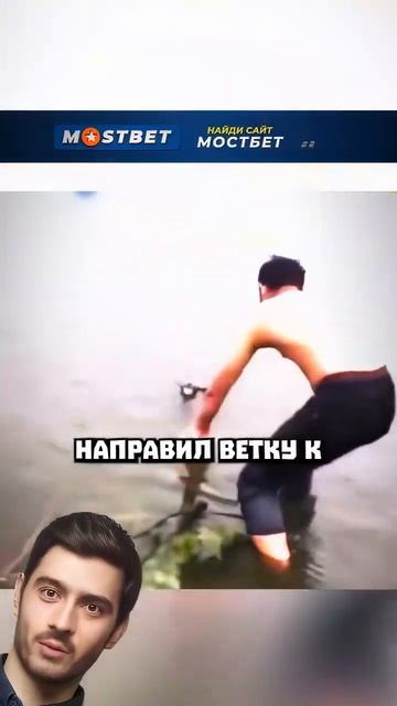 Эта коала была на грани смерти😱😭 #shorts #shortsfeed #viral смотреть онлайн