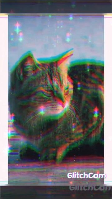 видео с фотографиями кошек 👍👉❤️ смотреть онлайн