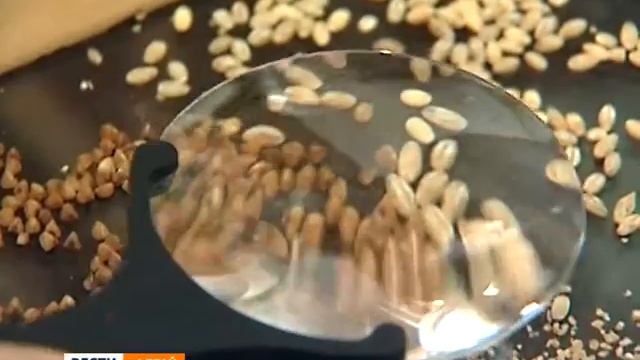 Алтайские продукты - Алтайские крупы