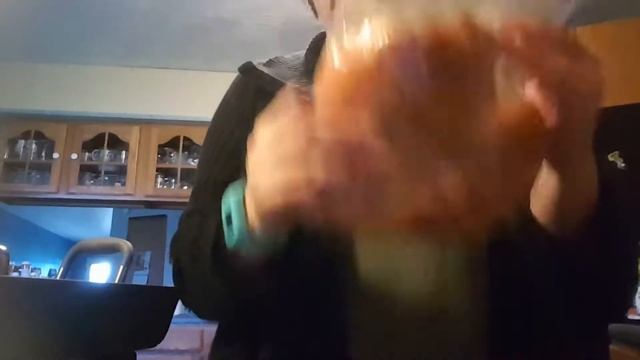 Double Burner Grill Pork Chops Micro Cookers Continued