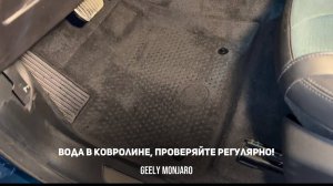 ВОДА В ПОЛАХ!ПРОВЕРЯЙТЕ КОВРОЛИН! , за этим точно нужно следить всегда! Джили Монжаро/ Geely Monjaro