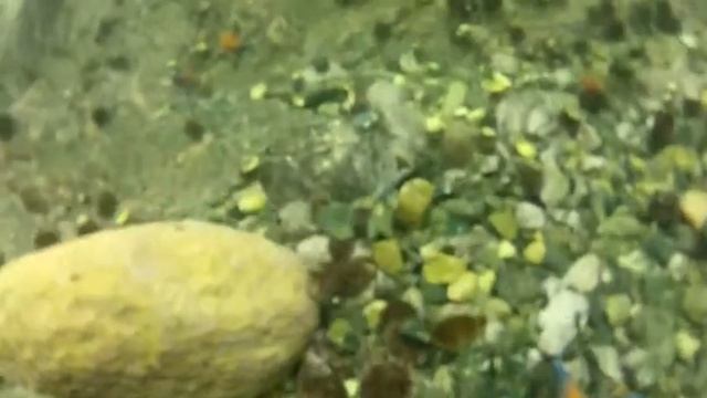 Подводная съемка смотреть онлайн