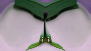 Deaf Pingu Season 1 Episode 18 + Deaf Major