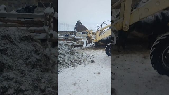 Трактор мтз 82 Чистка навоза на Мтз 82 смотреть онлайн