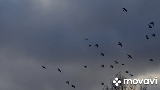 Я страстно обрести желал...