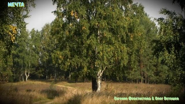 МЕЧТА (Евгения Феоктистова & студия "ПОРА") смотреть онлайн