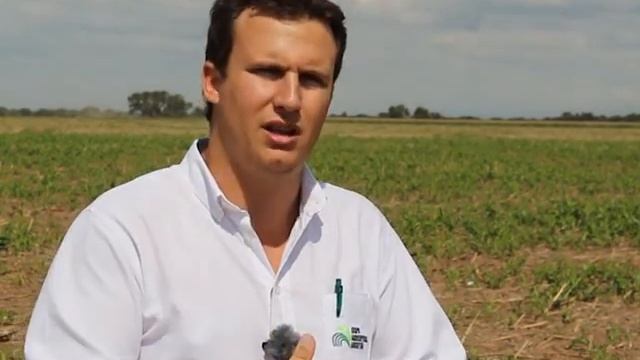 Producción de Sorgo Silero NEOGEN 2ª Parte. смотреть онлайн