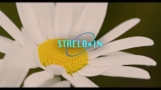 Muraqqa - My Vibe I PREMIERE 2022