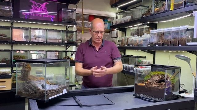 Chilobrachys sp kaeng krachan Breeding update and rehouse смотреть онлайн