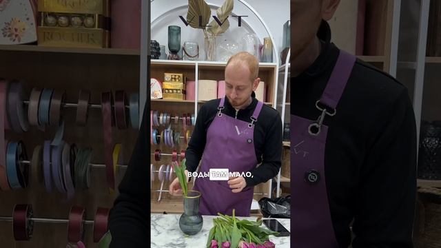 Продлить жизнь тюльпанам смотреть онлайн