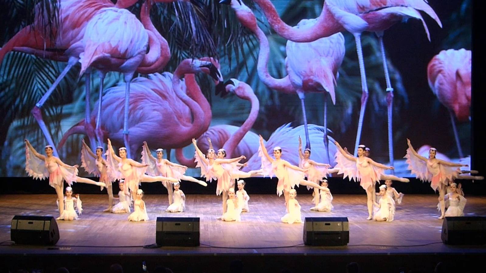 Балетная студия «Грация» - Ф. Рамирез. Розовый фламинго (постановка Г. Епанчинцевой) смотреть онлайн