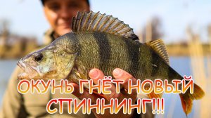 ОКУНЬ гнёт НОВЫЙ спиннинг Nautilus Fugu 💪 Тест 👍 Обзор 😉