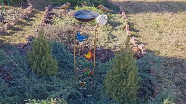 КЛУМБА ПОСЛЕ УБОРКИ 27.03.25! ЛЕНИНГРАДСКАЯ ОБЛАСТЬ ЮГО-ЗАПАД. смотреть онлайн