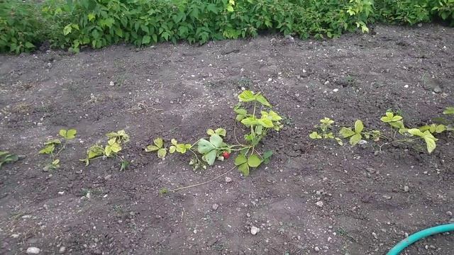 Крым в мае 2019