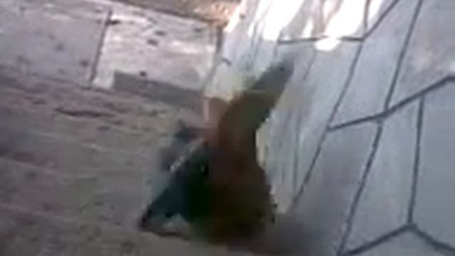 лидер дизлайков) смотреть онлайн