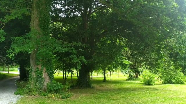 Garden in the castle, part 1, Birr, Ireland (Сад в замке Бирр, Ирландия, часть 1) смотреть онлайн