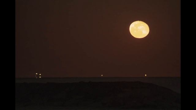 南伊豆で月と星と花と・・・ смотреть онлайн