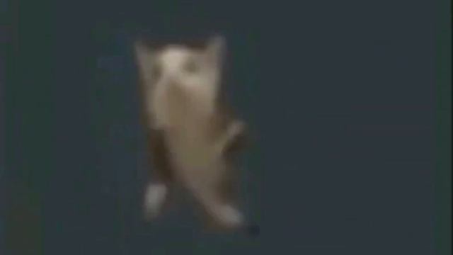 ЧИПИ ЧИПА ЧИПА | 1 ЧАС смотреть онлайн