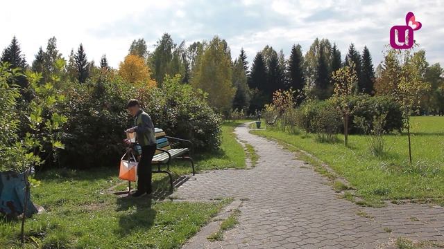 Ориентировались в парке. Спортобзор смотреть онлайн