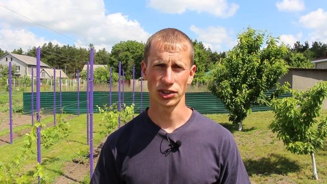Обробка винограду перед цвітінням смотреть онлайн