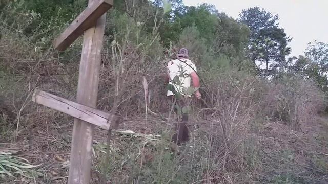 você conhece lixiguana смотреть онлайн