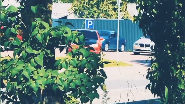 ПЭЛ И ЖДАНОВИЧ УКРАЛИ СУБАРИК! смотреть онлайн