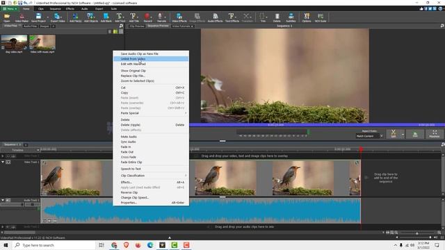VideoPad Tutorial: How to Mute Audio in VideoPad смотреть онлайн