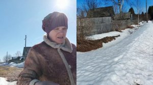 Посадила цветы и томаты ,автолавка.