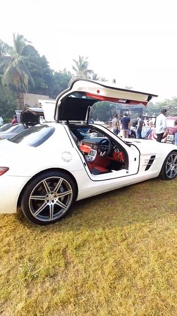 mercedes sls amg with butterfly doors смотреть онлайн