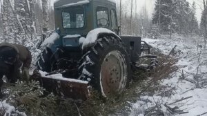 Валка,трелевка леса.Т 40 в работе.