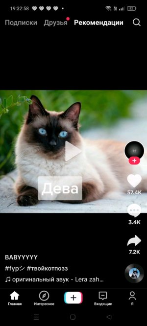 знаки зодиака