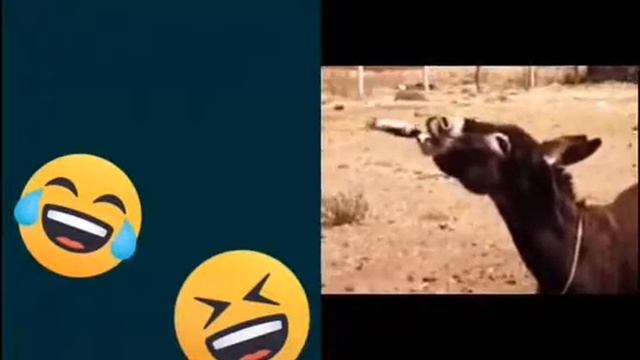 Я угарал 3 часа 😂 друзья можете задавать вопросы в коментах смотреть онлайн