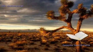 060. Сура Аль-Мумтахана
Прекрасное чтение Корана 
Чтец: Саадом Аль Гамиди