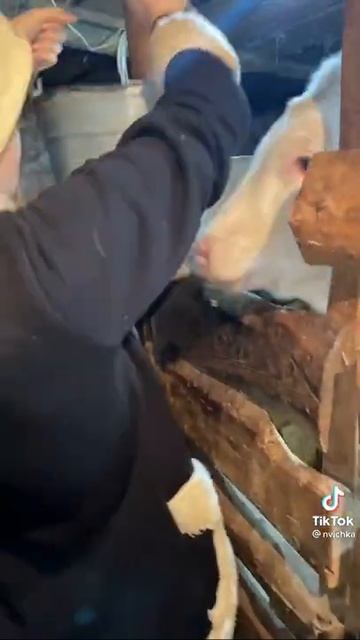 Настоящая женщина мечта любого мужчины смотреть онлайн