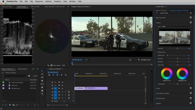 LUTs in adobe Premiere Pro | Create add and Save LUTs in Adobe Premiere Pro смотреть онлайн