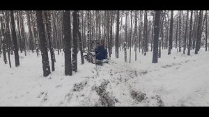 Трактор т 16 зимой в лесу.