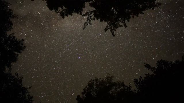 Rita Ora - Only Want You (Lyrics) | New Song смотреть онлайн