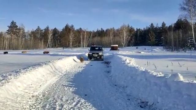На ферме в лесу! смотреть онлайн