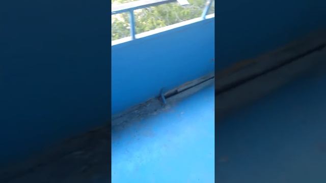подготовка к монтажу балконной рамы смотреть онлайн