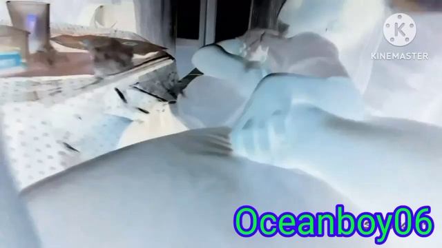 Razan Screaming Shotcut Effects (Sponsored By Cheese Csupo Effects) KineMaster смотреть онлайн