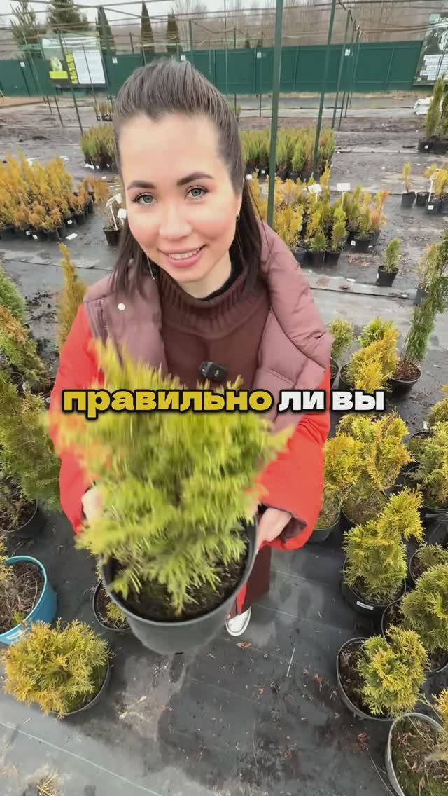 90% Садоводов Произносят Эти Растения Неправильно смотреть онлайн