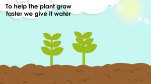 How do plants grow?_for kids