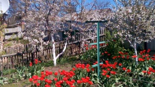 И снова песнь весне смотреть онлайн