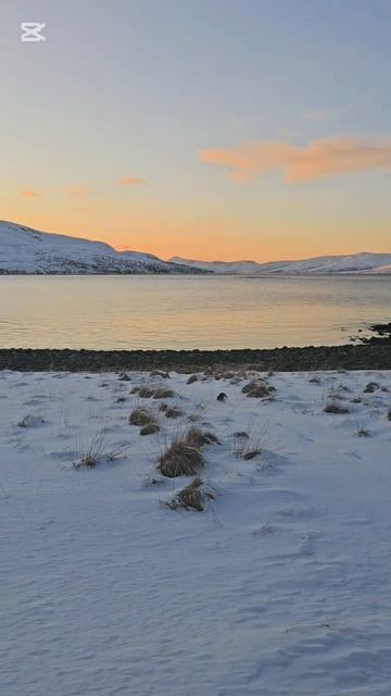 северная выдра в гольфах смотреть онлайн